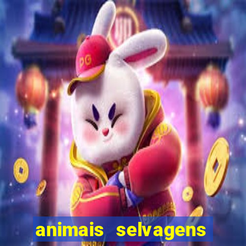 animais selvagens fotos e nomes